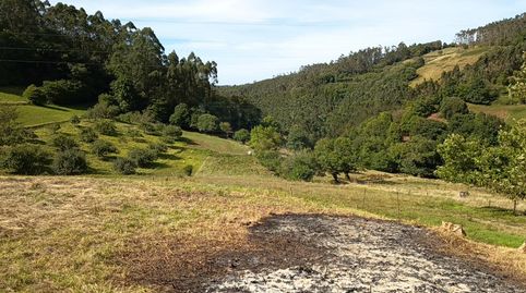 La Argañosa (Candamo) Asturias, finca edificable para dos casas, 25.000 €, imatge 3