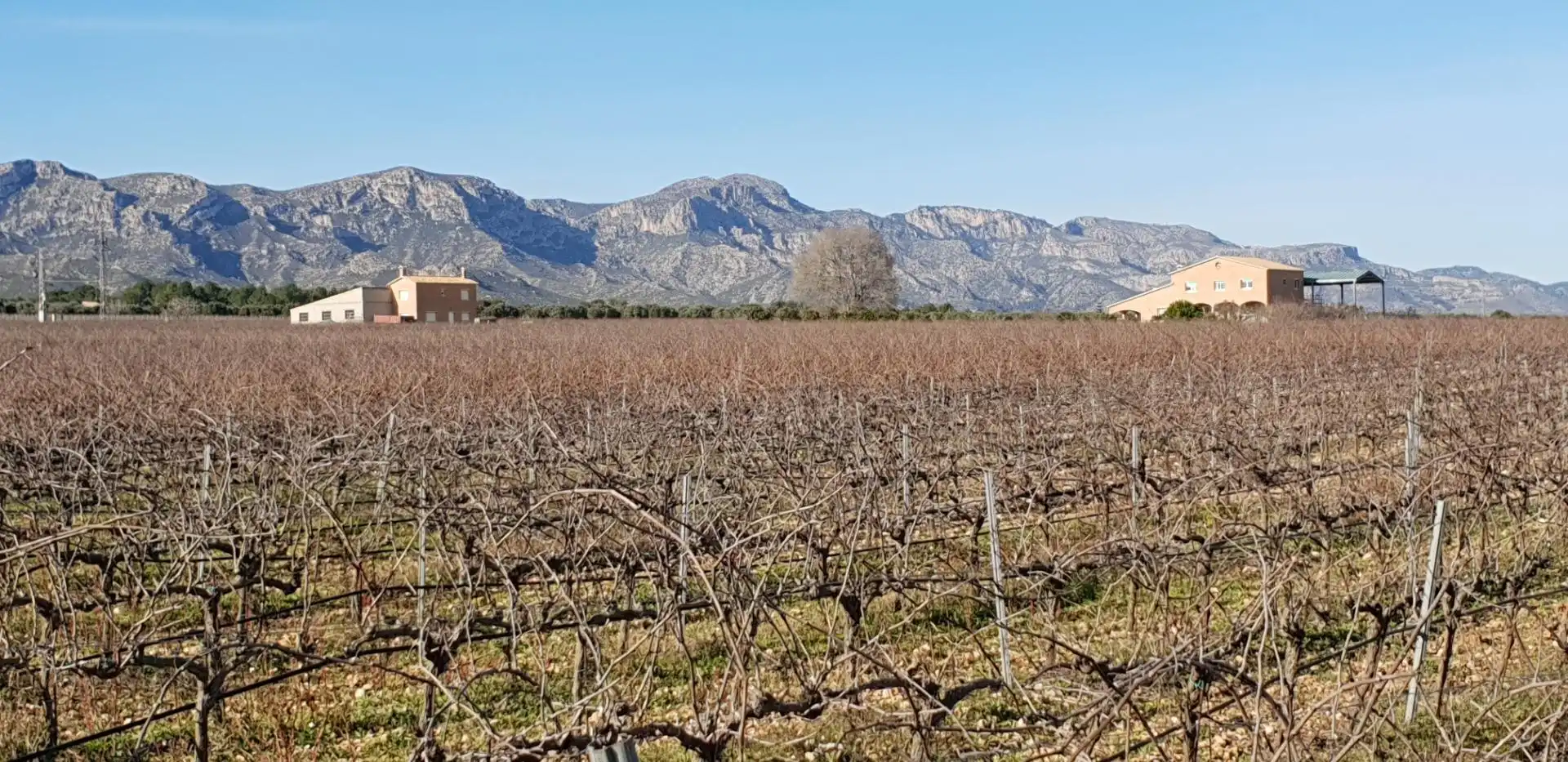Finca rústica en venta en El Perelló con Jardín privado, Terraza y Trastero