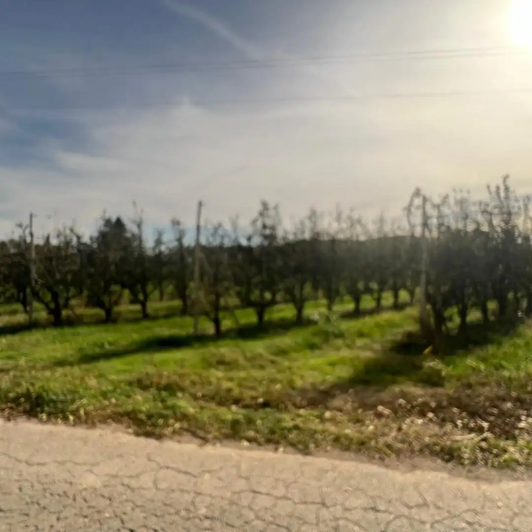 Terrenos y solares en venta en Camino 78, imagen 7