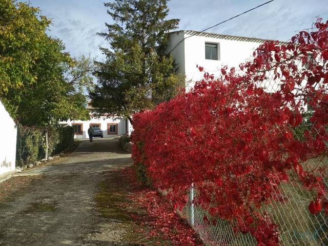 Terreno residencial en Venta en San Agustín - Parque Europa