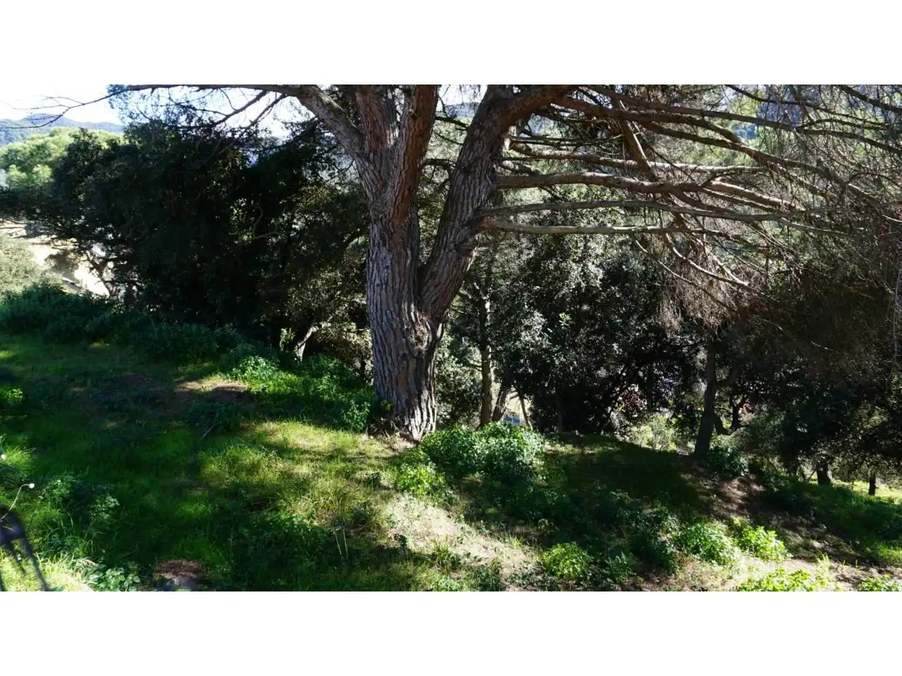 Terreny residencial en venda a Calle Sant Andreu 18, imagen 19
