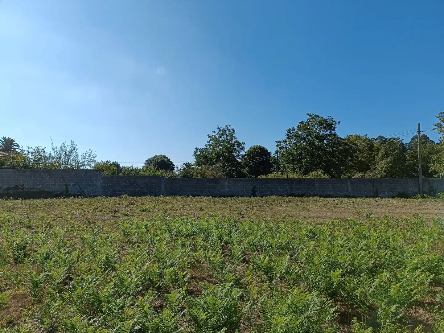 Casa o xalet en venda en Bergondo amb Jardí privat i Traster