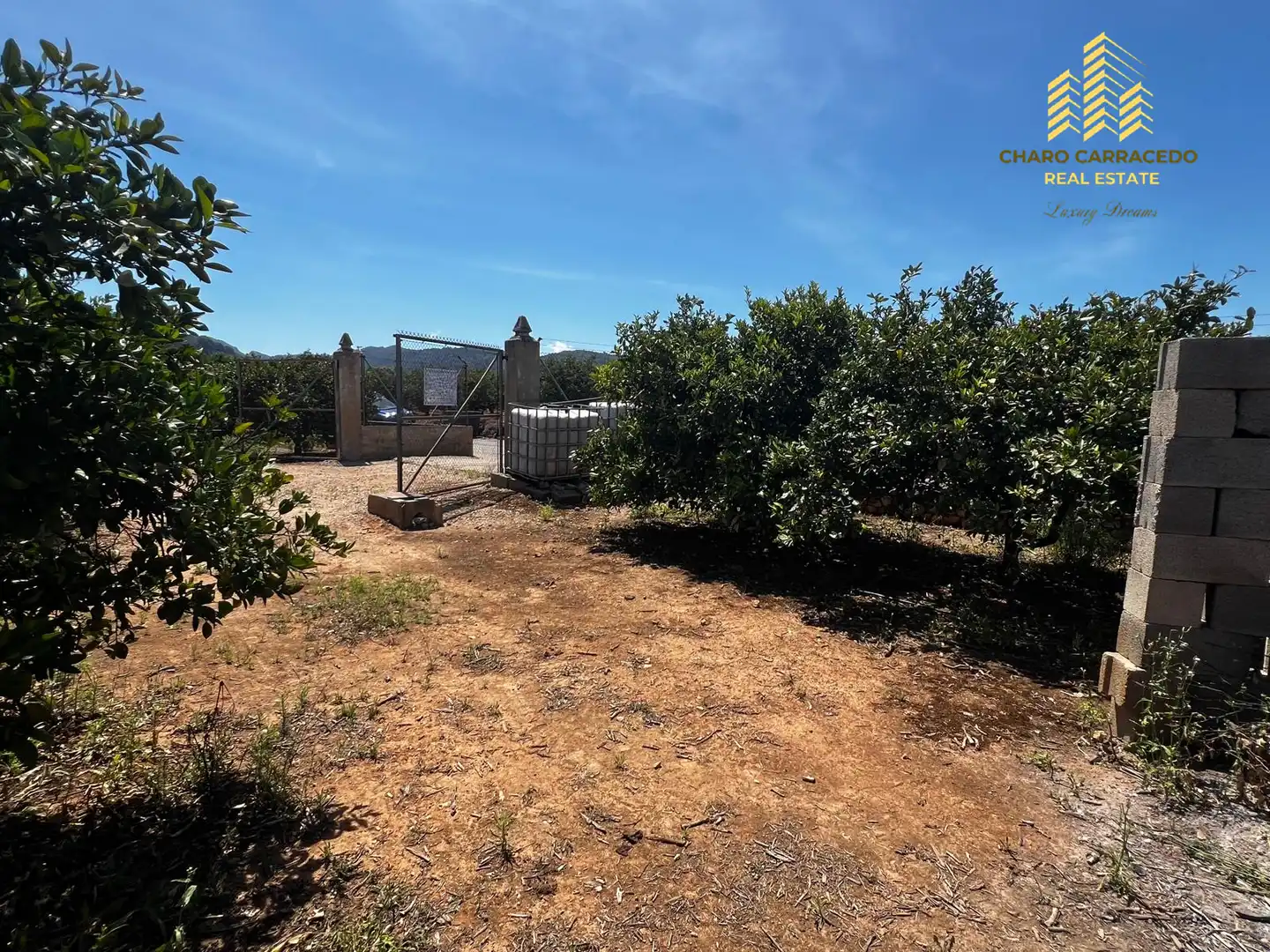 Terreno rústico en venta en Camí de la Murta-Ombria, imagen 19