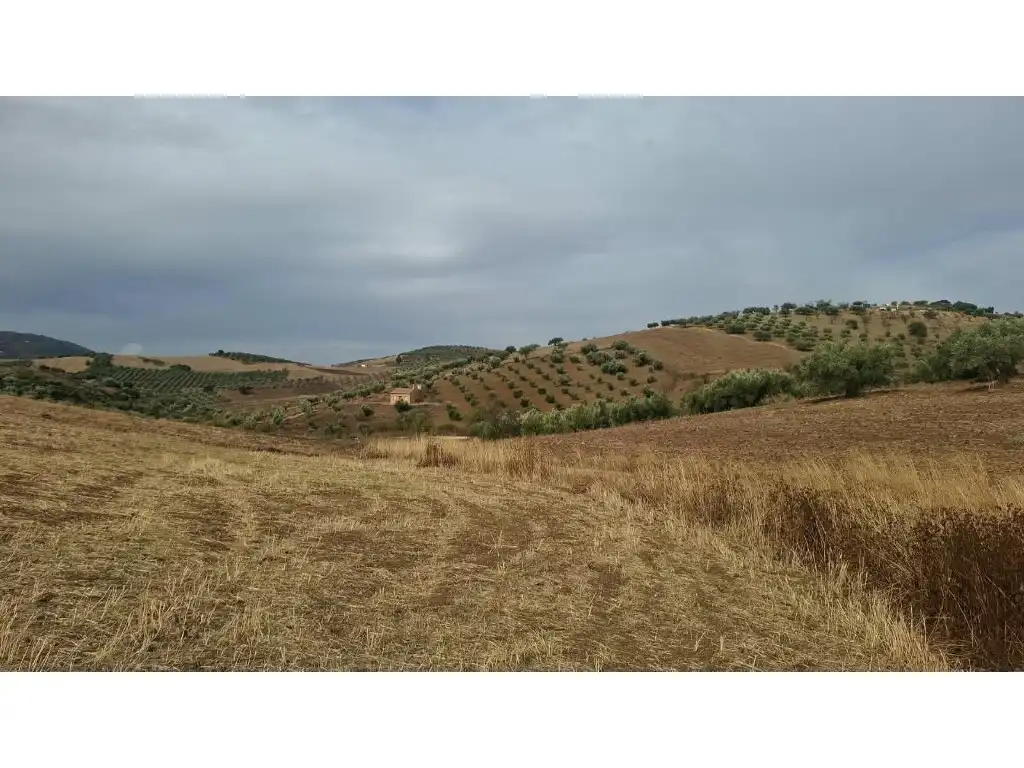 Casa rústica en venda a Terrenos Pp.4a Venta La Huerta, imagen 3