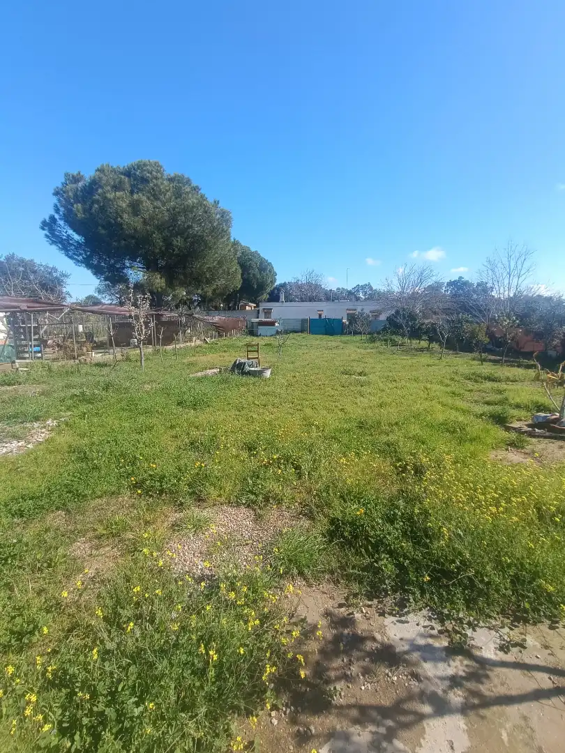Terreni e lotti in vendita a Castilblanco de los Arroyos, imagen 8