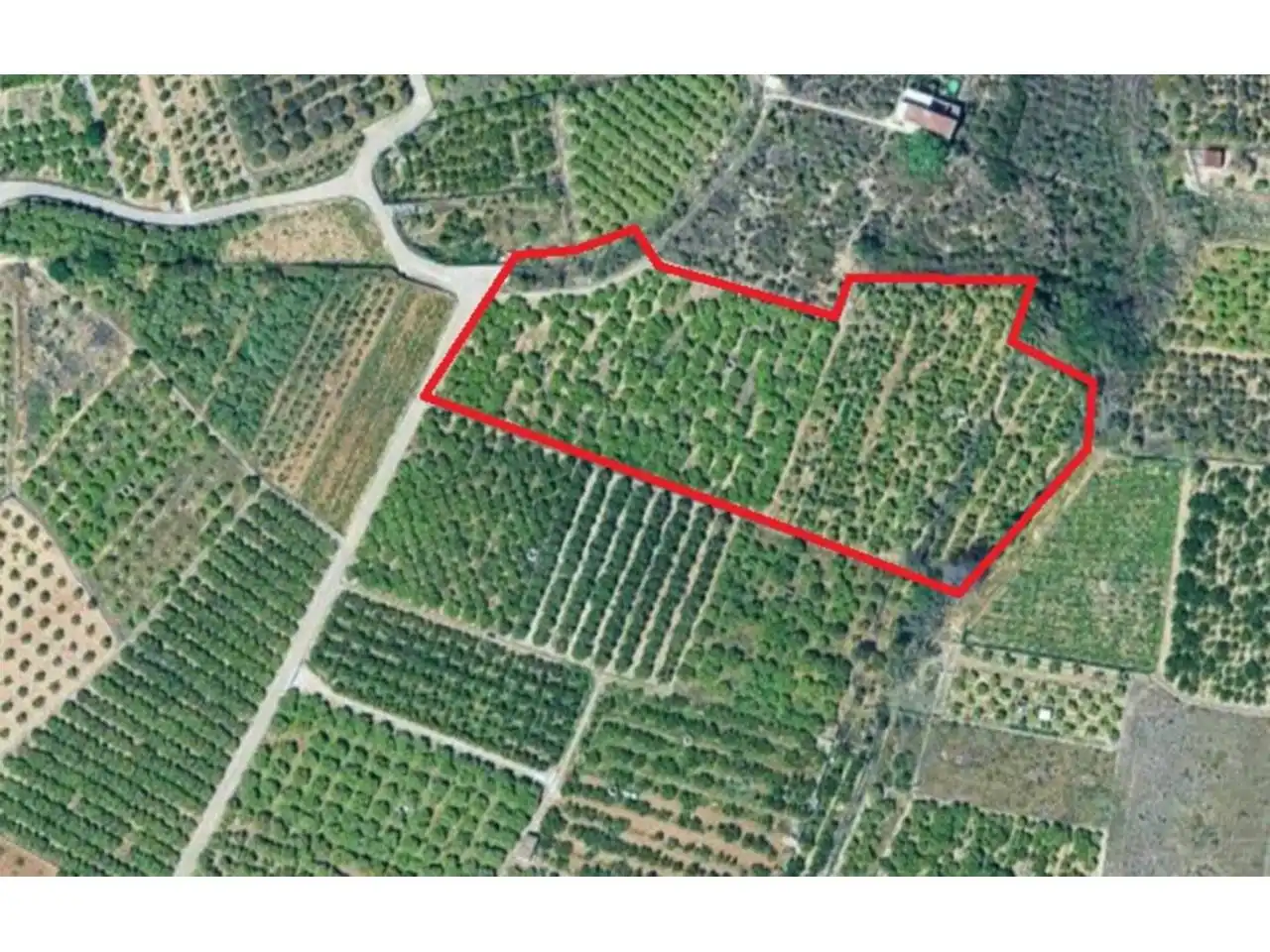 Rural land for sale in Calle Partida Alfas