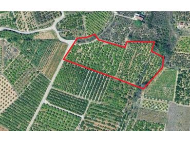 Terreno rustico in vendita a Calle Partida Alfas
