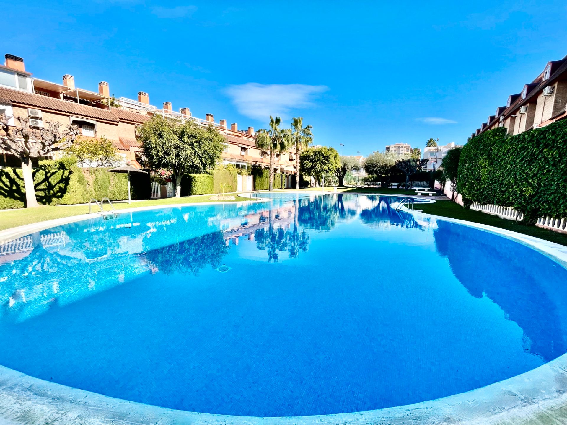 Swimming pool of Single-family semi-detached for sale in Alicante / Alacant  with Air Conditioner, Heating and Private garden