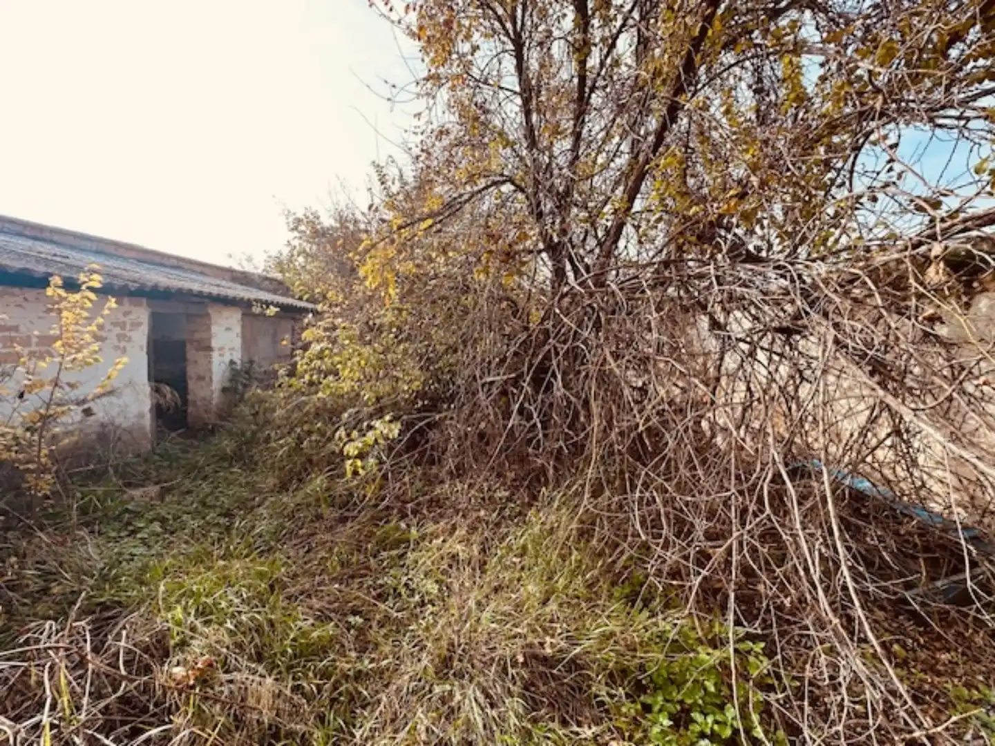Casa a schiera in vendita a Fuente de Piedra, imagen 5