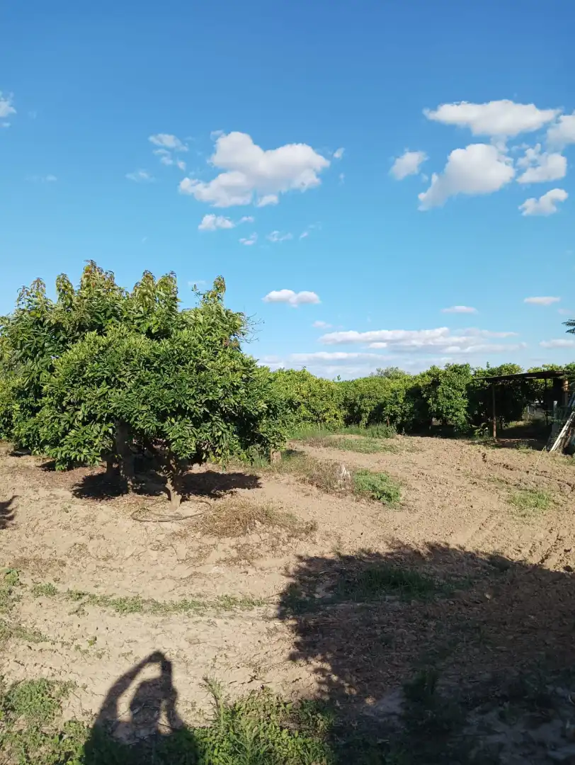Terreno en venta en La Algaba