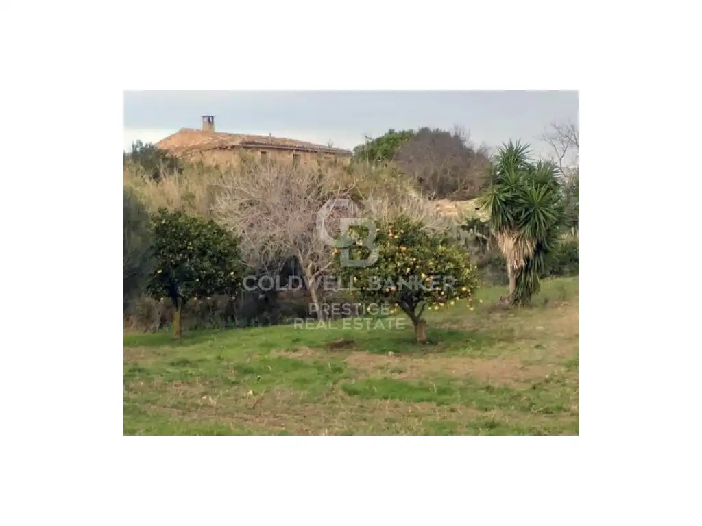 Casa rustica in vendita a Artà Poble, imagen 30