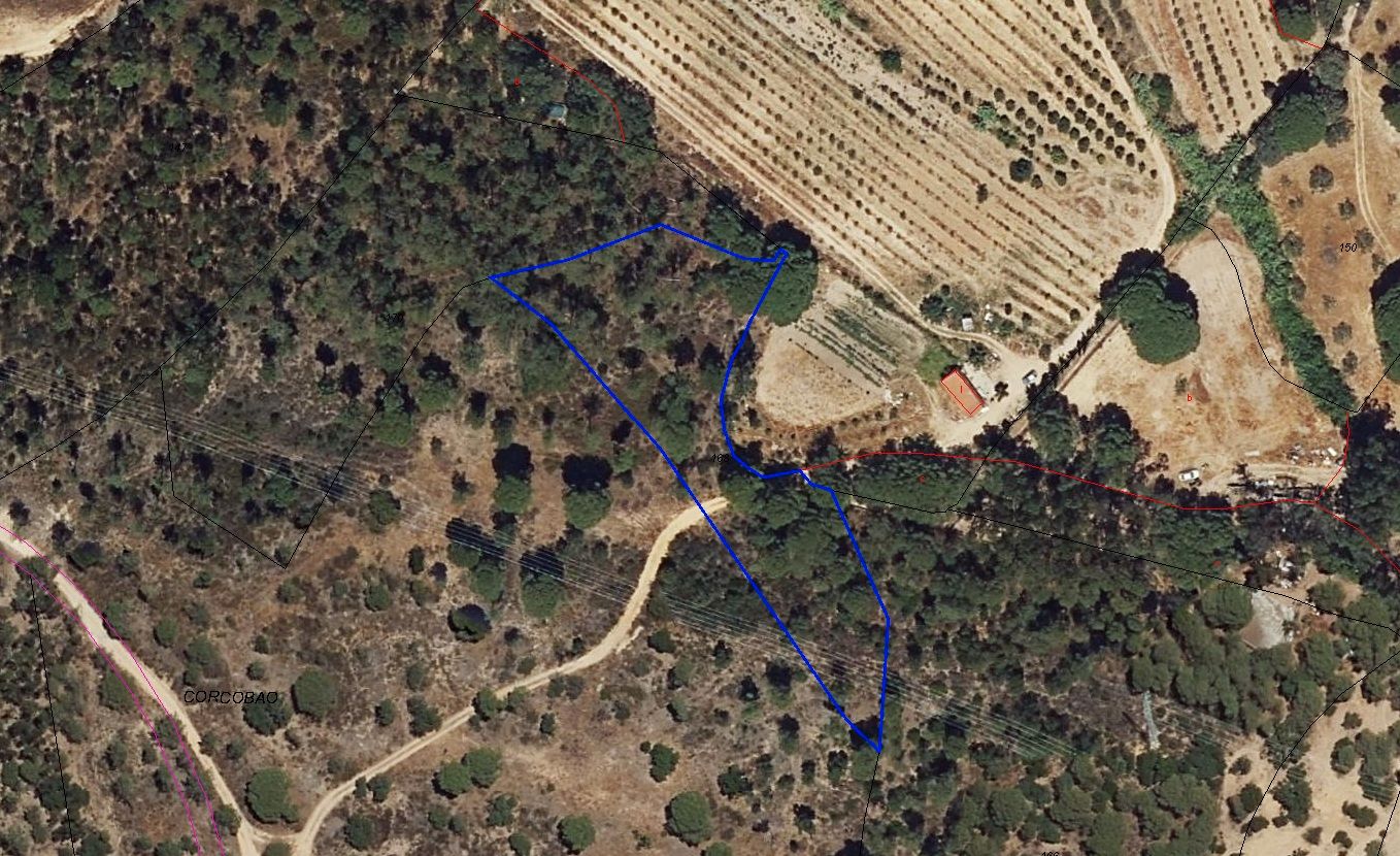 Land for sale in Villablanca