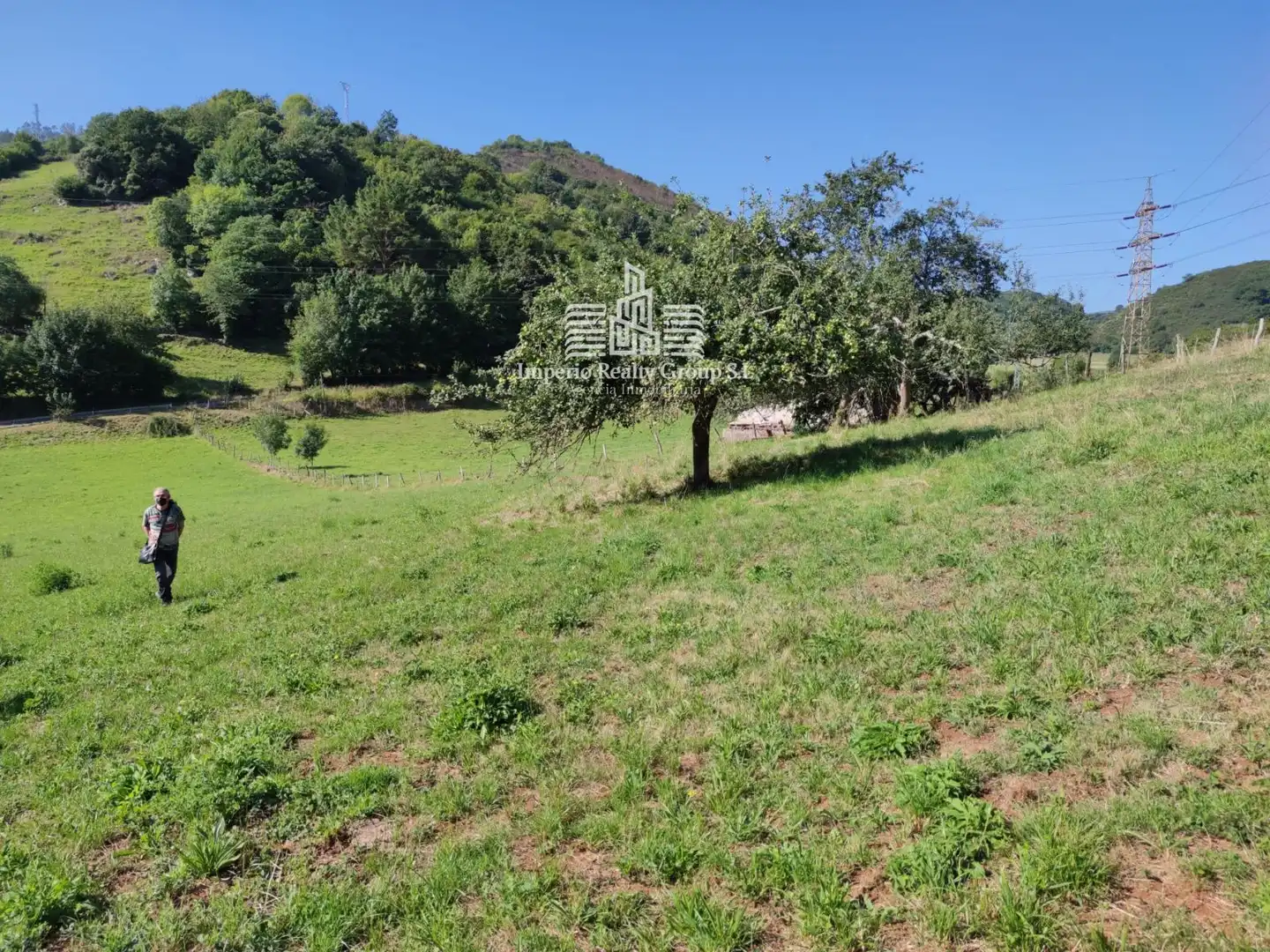 Terreno rústico en venta en Grado, imagen 13