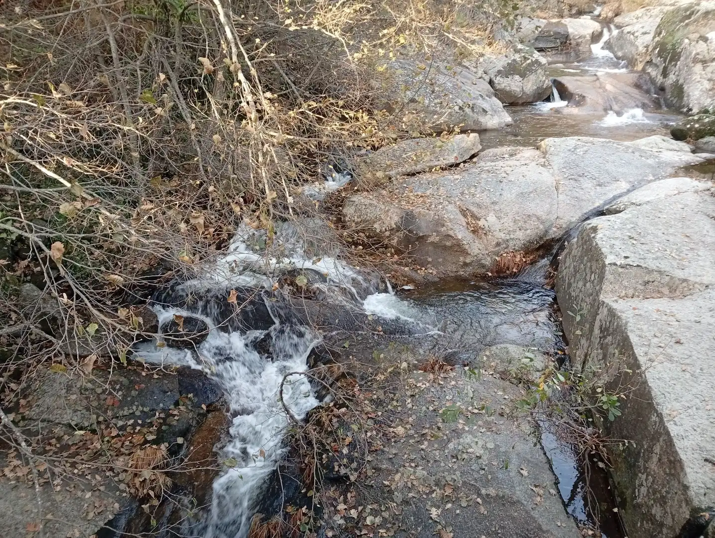 Terreni e lotti in vendita a Viandar de la Vera, imagen 57