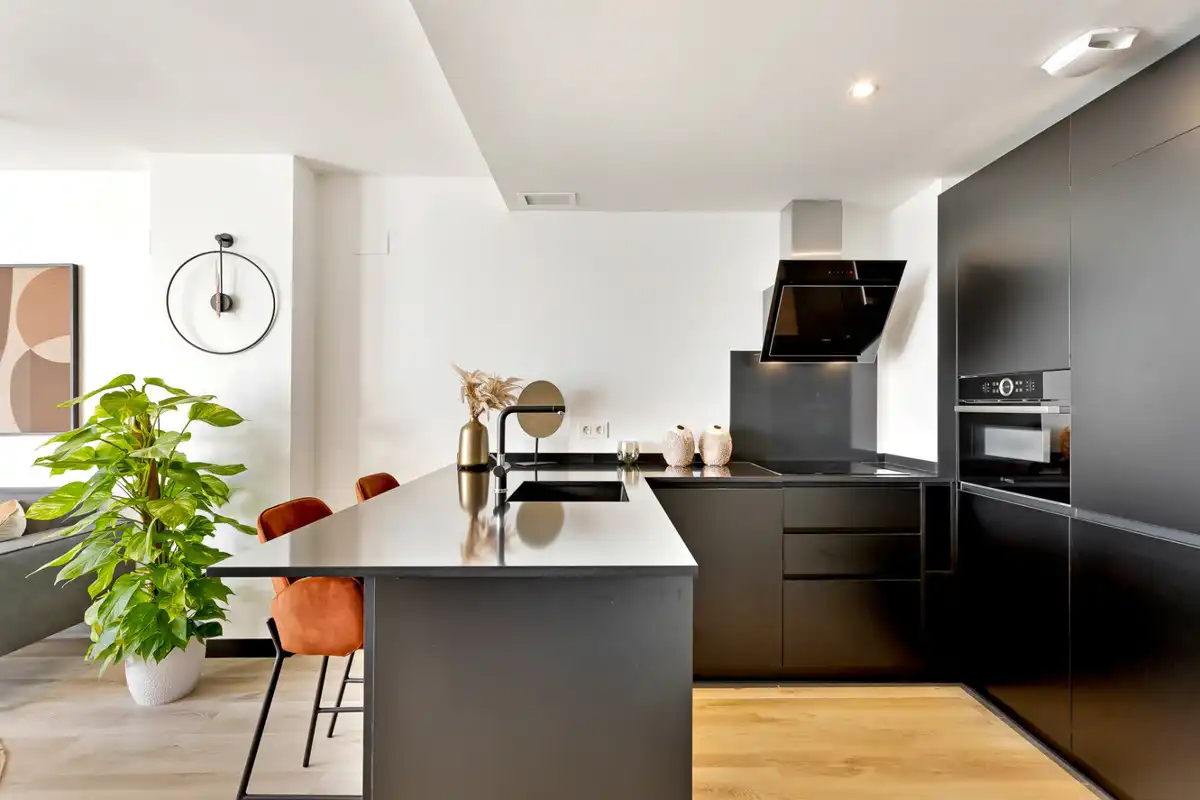 Apartamento con terraza en venta en Las Lagunas, imagen 6