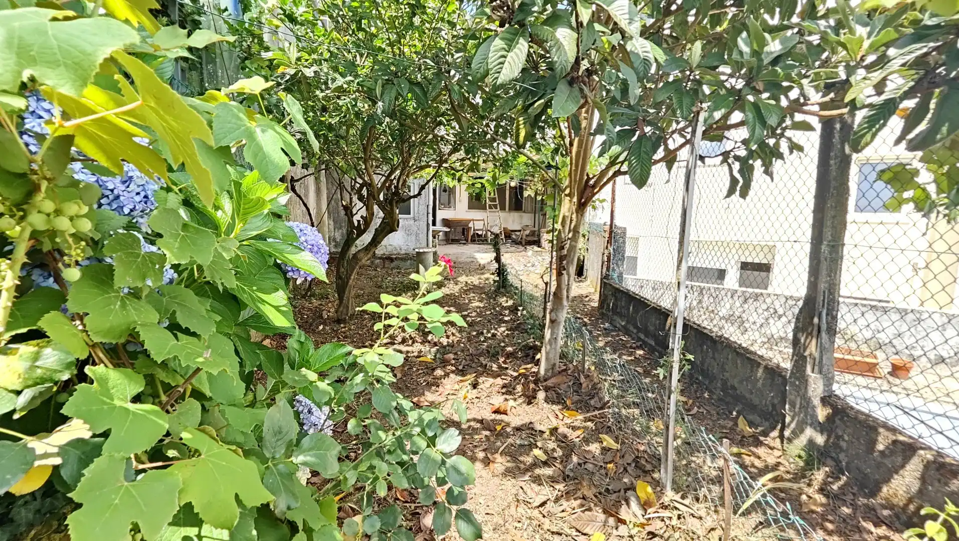 Casa con giardino in vendita a RUELA DO PISON, imagen 17