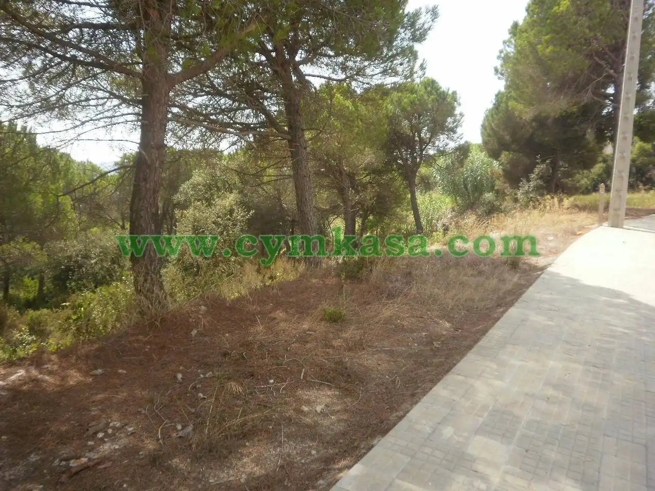 Terreno residencial en venta en Mas Mora - Sant Daniel, imagen 2