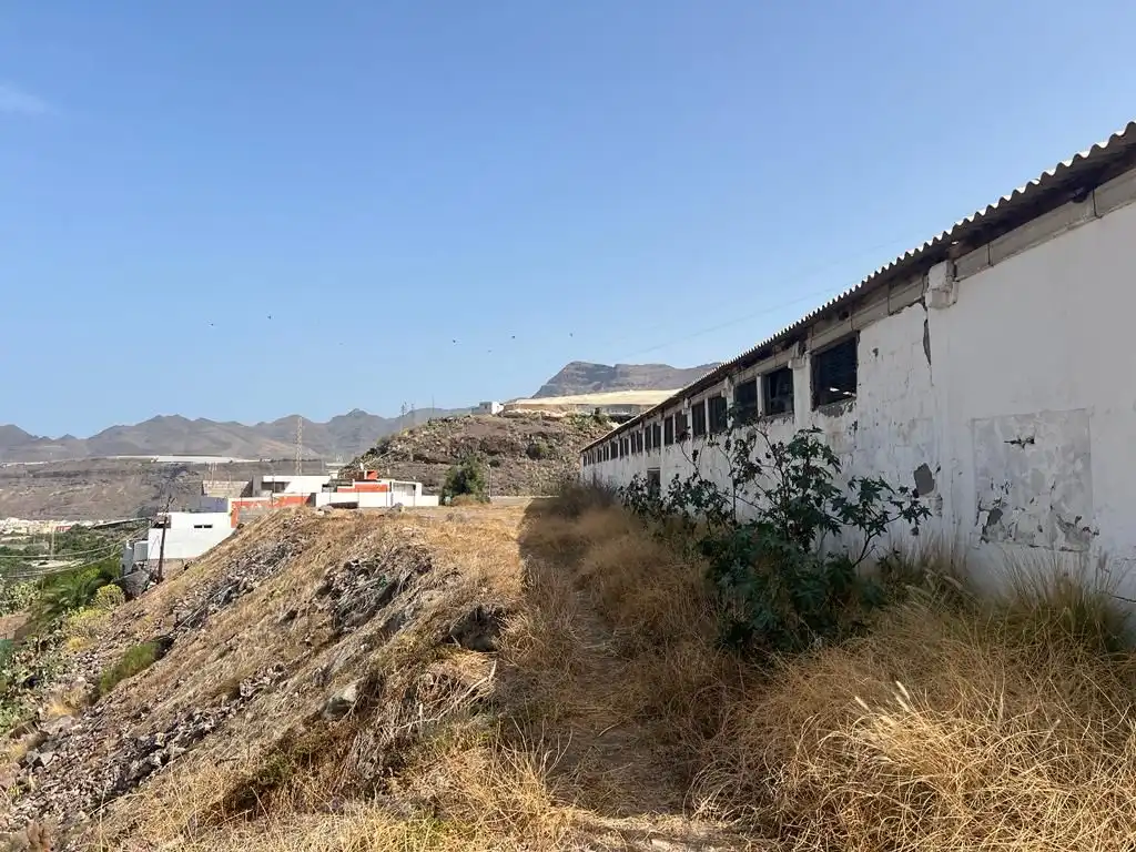 Terreny rústic en venda a La Aldea de San Nicolás, imagen 15