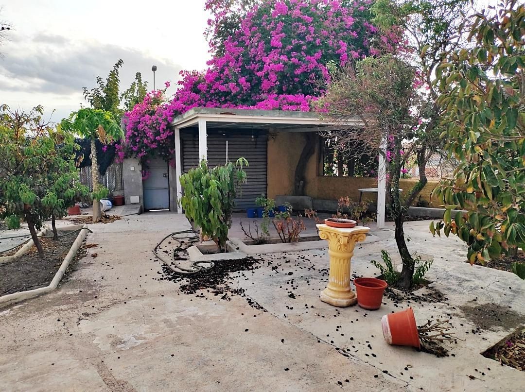 House or chalet for sale in Calle Calle Vista Alegre de La Ñora, La Ñora