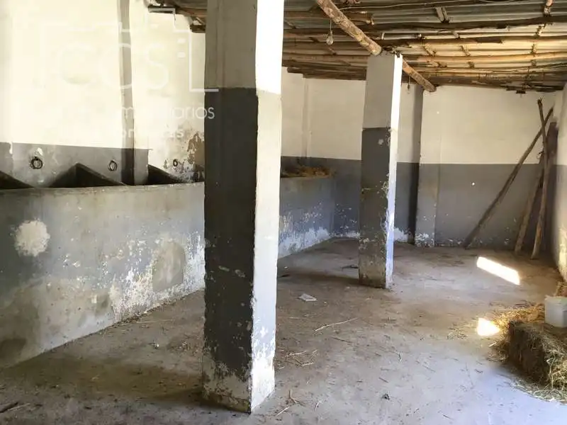 Maison à vendre à El Rocío, imagen 70