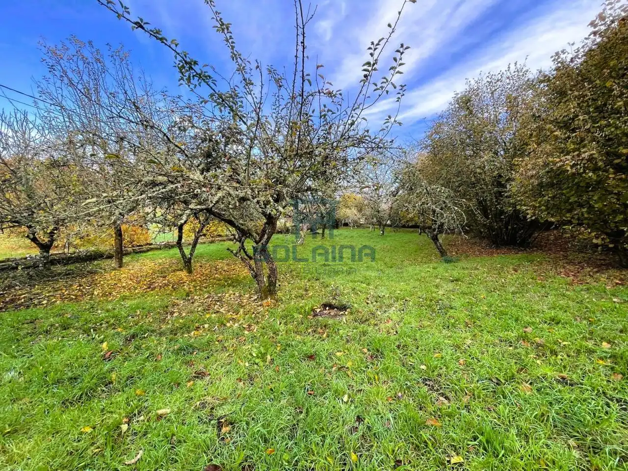 Casa o chalet en venta en Baños de Molgas con Calefacción y Jardín privado