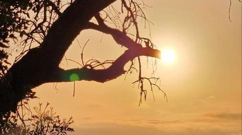 Photo 5 of House or chalet for sale in Los Lagos, Sevilla