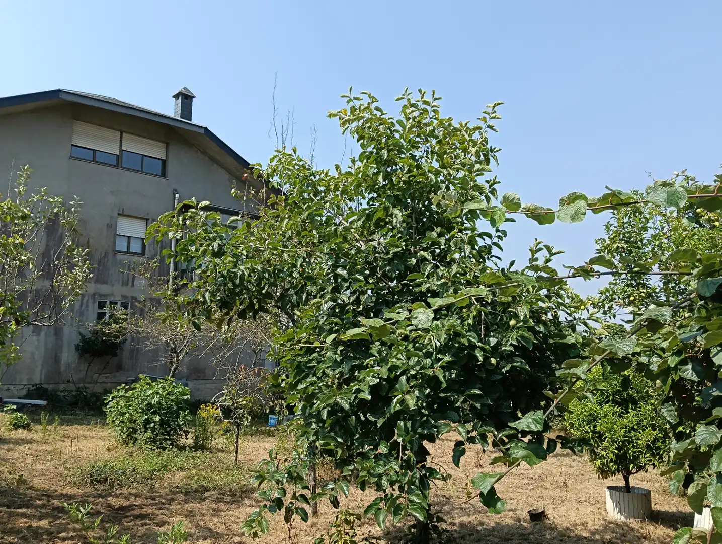 Maison avec jardin à vendre à Vilasantar, imagen 14