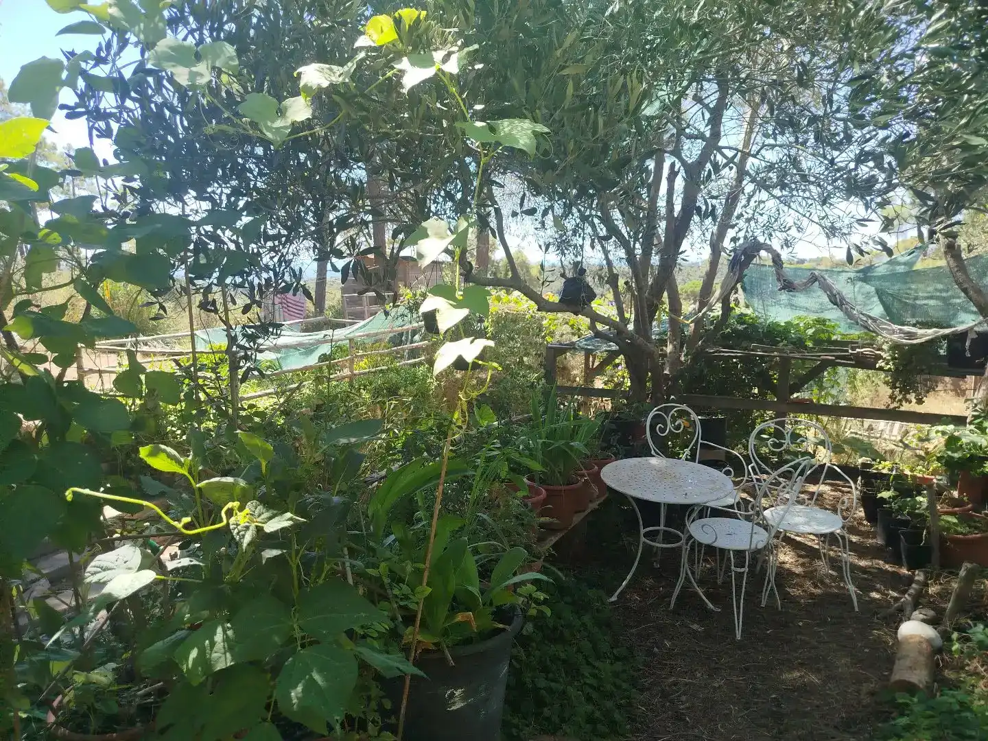 Jardí de Casa o xalet en venda en Lloret de Mar amb Aire condicionat i Piscina