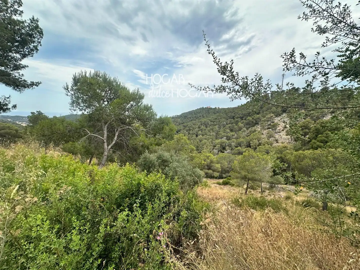 Rural land for sale in Tarragona, imagen 3