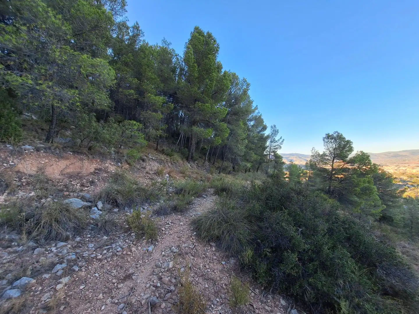 Rural land for sale in Castalla, imagen 6