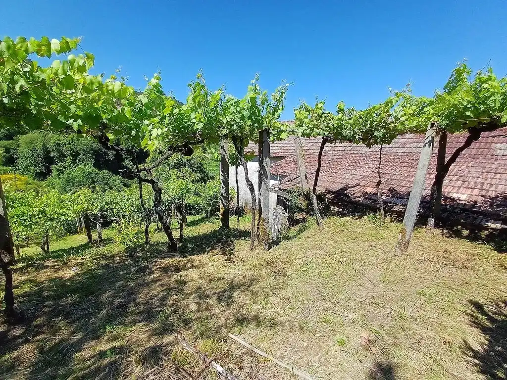 Maison avec jardin à vendre à Lugar Parada-Franqueira, imagen 37