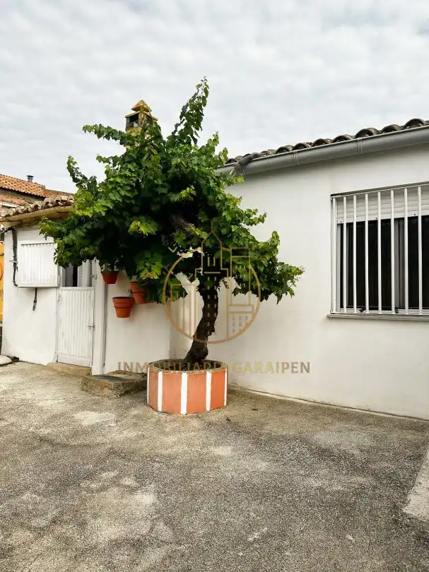 Jardín de Casa o chalet en venta en Santacara con Jardín privado y Terraza