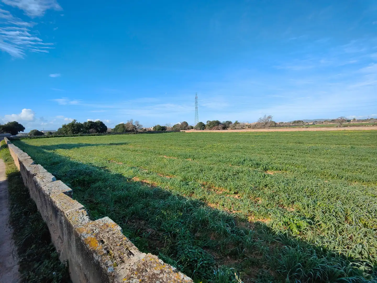 Terreno en venta en Llucmajor