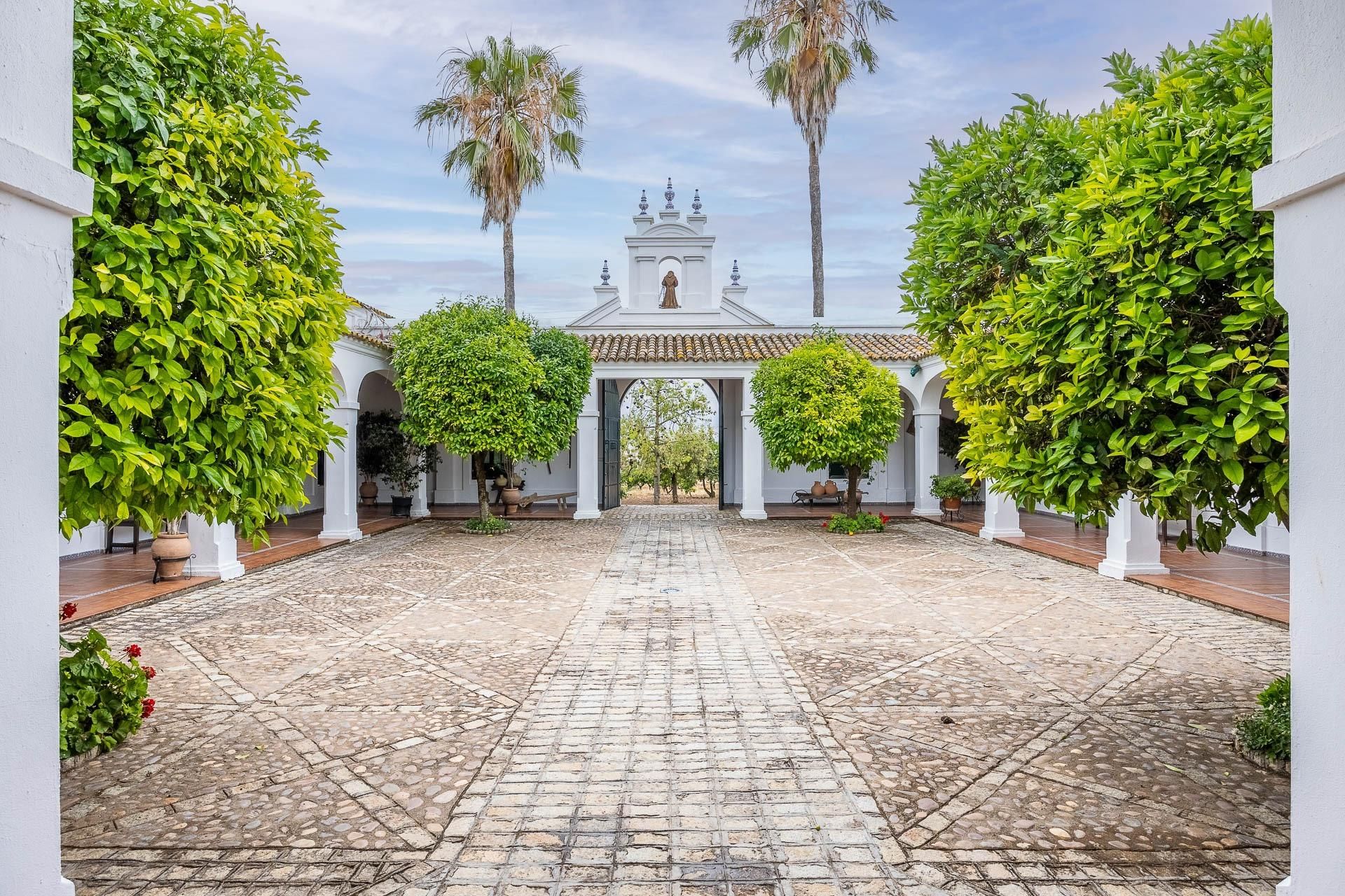 Exterior view of Country house for sale in Valencina de la Concepción  with Private garden, Terrace and Storage room