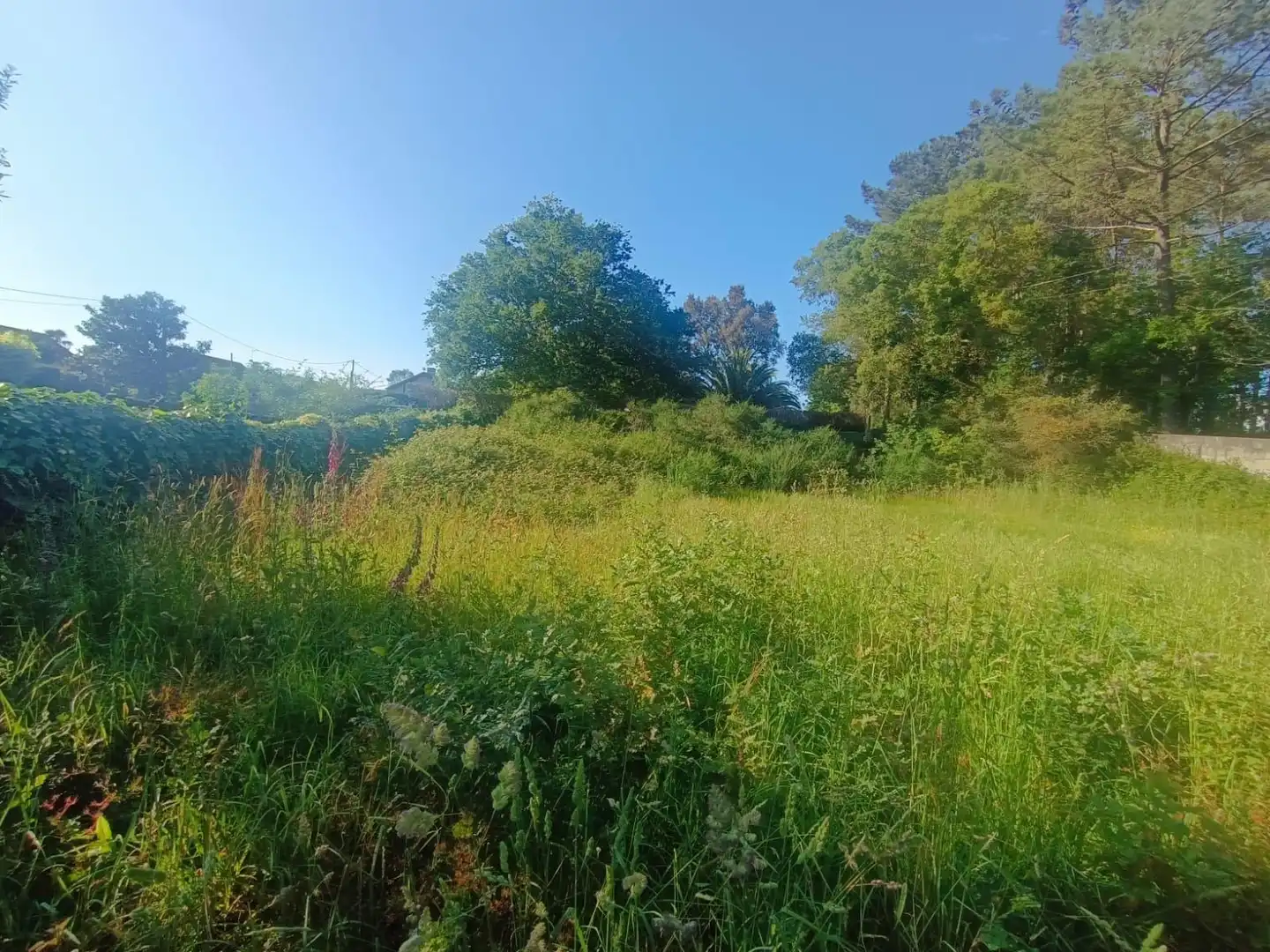 Terreno en venta en Tomiño