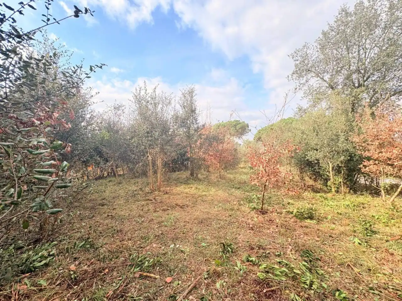 Residential for sale in Caldes de Malavella