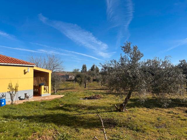 Terreno en Venta en Sur