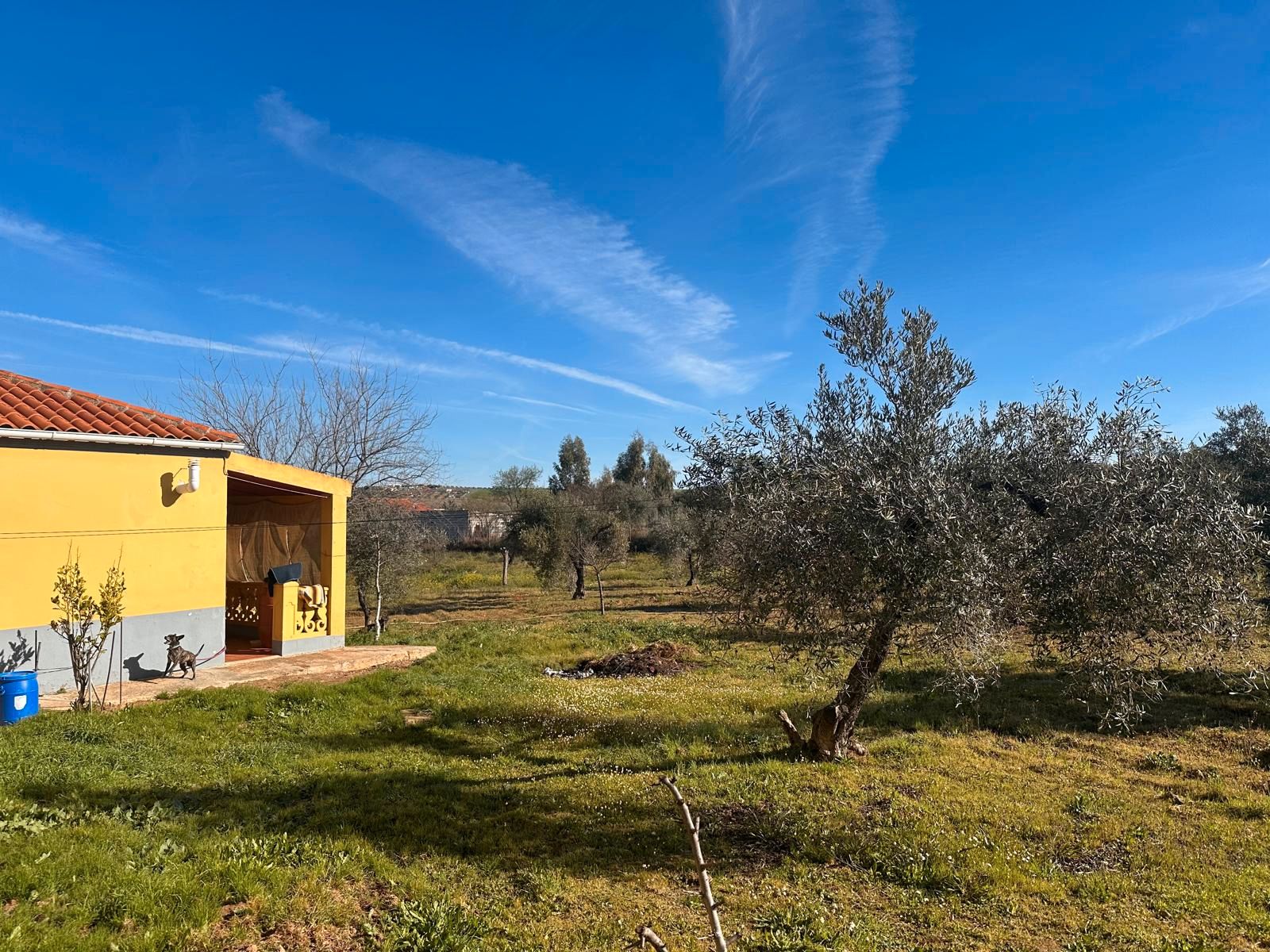 Land for sale in Mérida