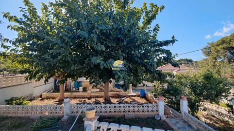 Foto 5 de Finca rústica en venda a Doctor Palos - Alto Palancia, Valencia