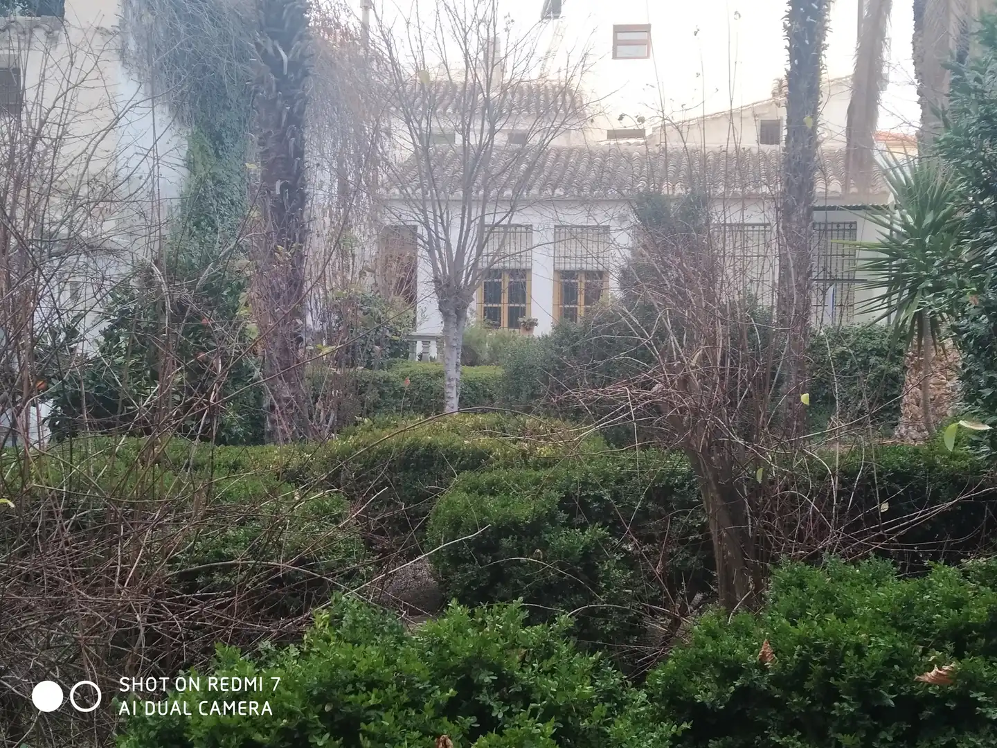 Chalet en venta en Calle Agua, imagen 6