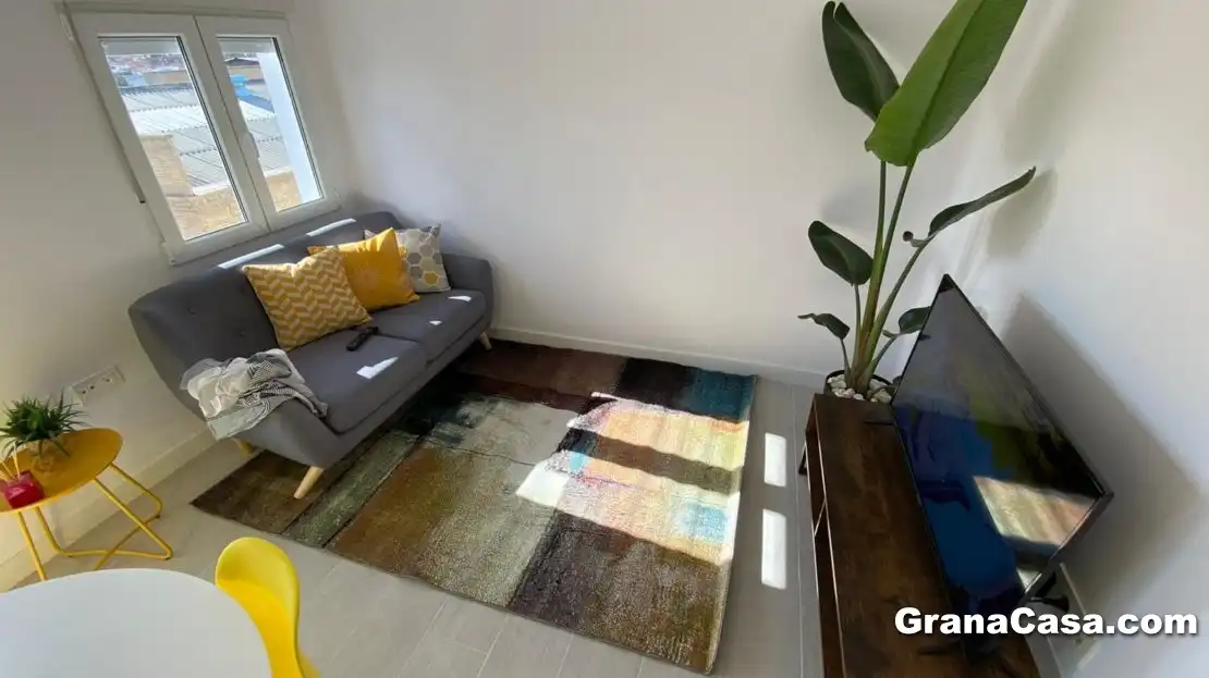 Wohnzimmer von Wohnung zur Miete in Granada mit Klimaanlage, Heizung und Terrasse