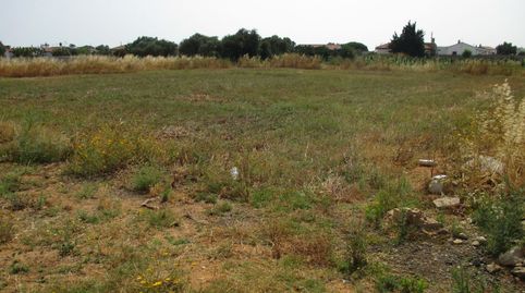 Foto 5 de Finca rústica en venta en Roche, Conil de la Frontera