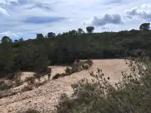 Terreny rústic en venda a Tibi, imagen 14