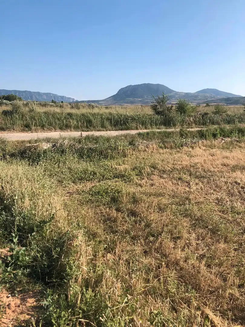 Wohnbaugrundstück zum Verkauf in Alberite, imagen 5