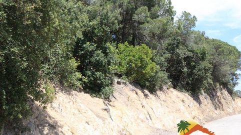 R01428 TERRENO URBANIZABLE CON VISTAS AL MAR EN SERRA BRAVA, LLORET DE MAR., imatge 4