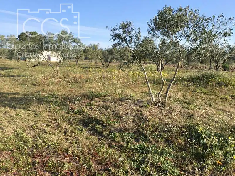 Finca rústica en venta en Almonte