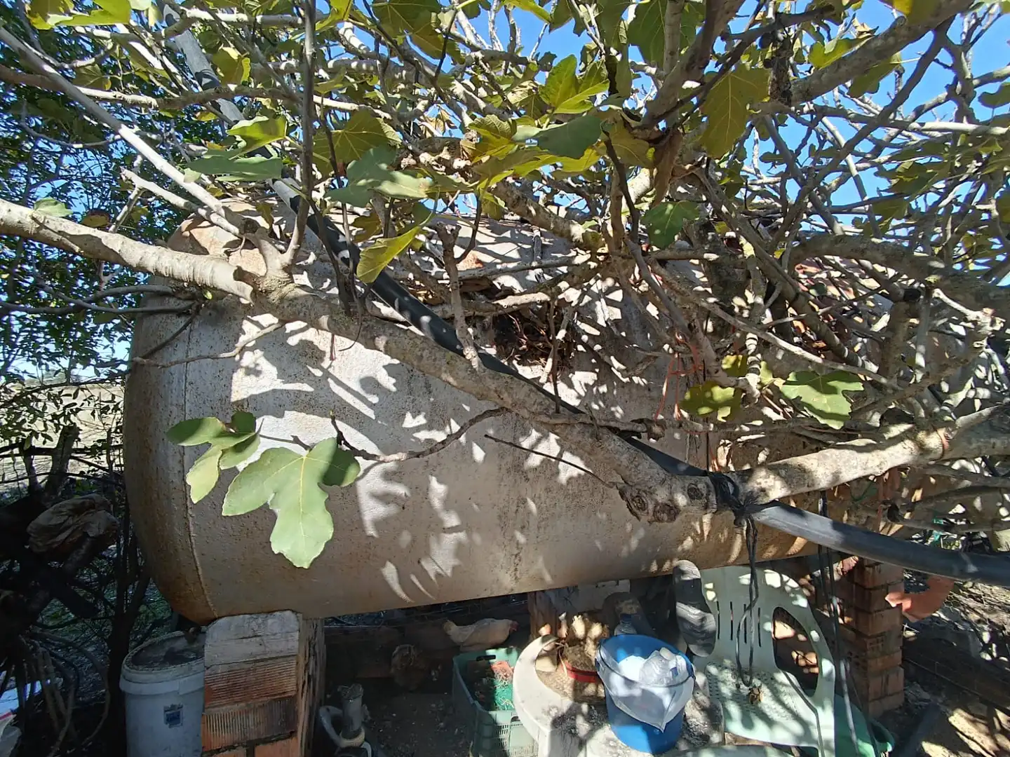 Terreni e lotti in vendita a El Juncal - Vallealto, imagen 25