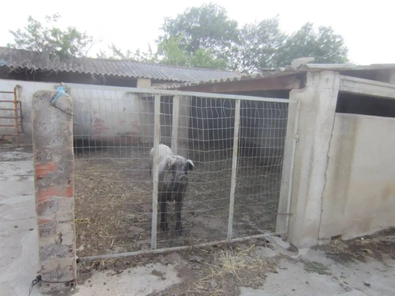 Terreno rustico in vendita a Calle RONDA DEL MEDIODIA, imagen 7