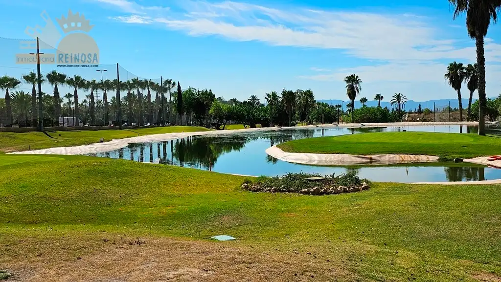 Detached homes for sale in Calle Nicolás Guillén, Altorreal - El Chorrico