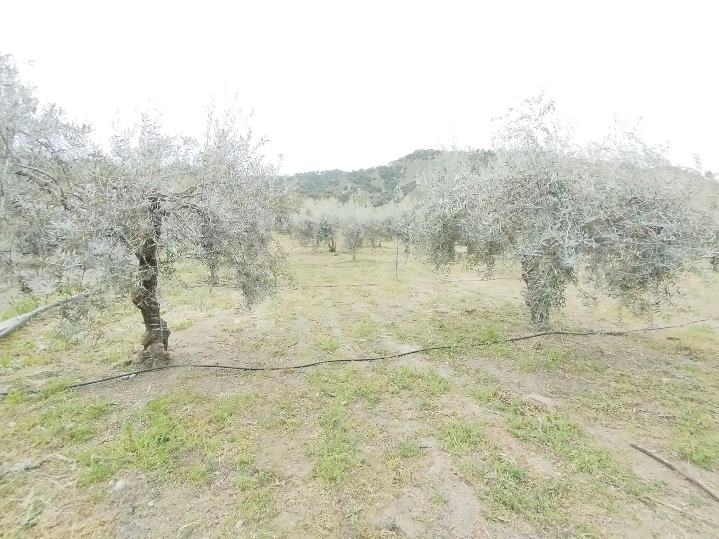 Terreni e lotti in vendita a Carretera Cenes de la Vega, imagen 11